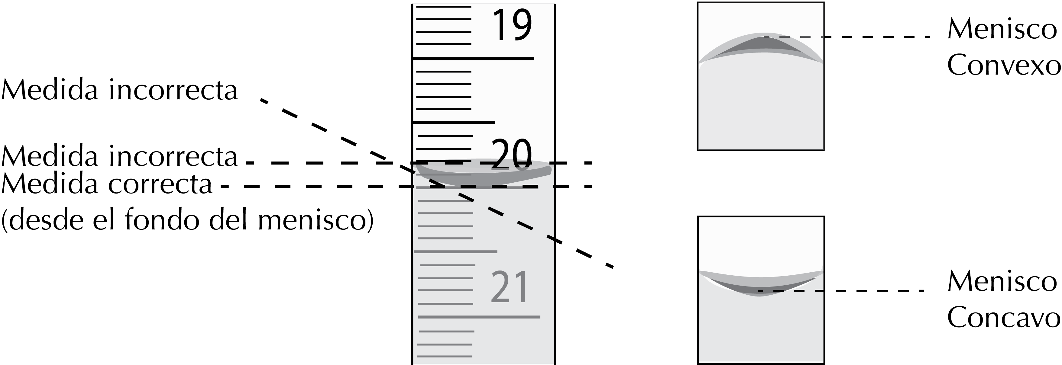 meniscus curvature liquids