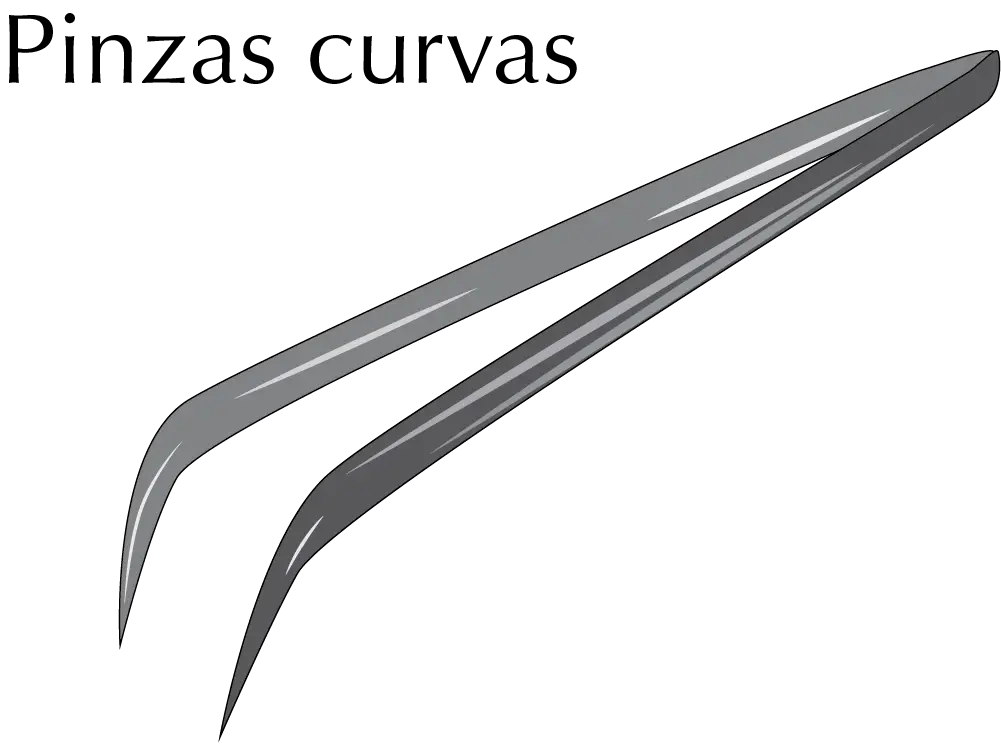 Tweezers forceps