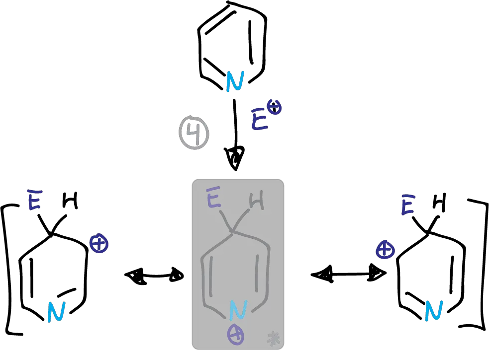 Intermediates electrophilic substitution pyridine C4 position