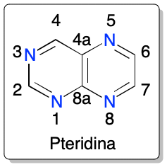 Pteridine ring numbering