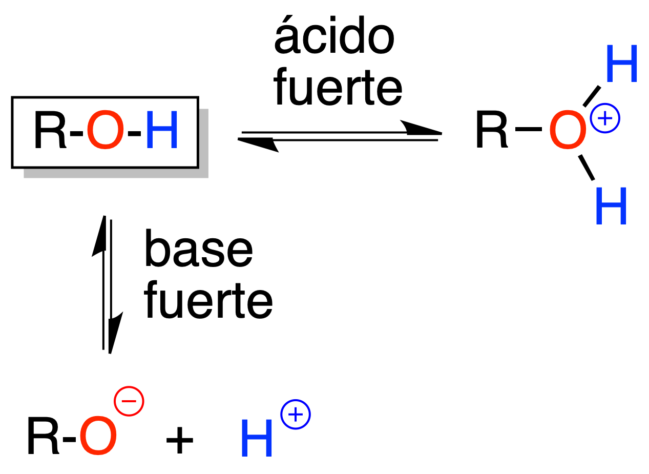 acid-base properties of alcohols