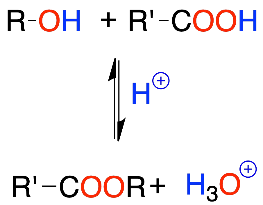 Reactions of Alcohols, Ethers and Oxiranes: Conversion of alcohols to silyl ethers