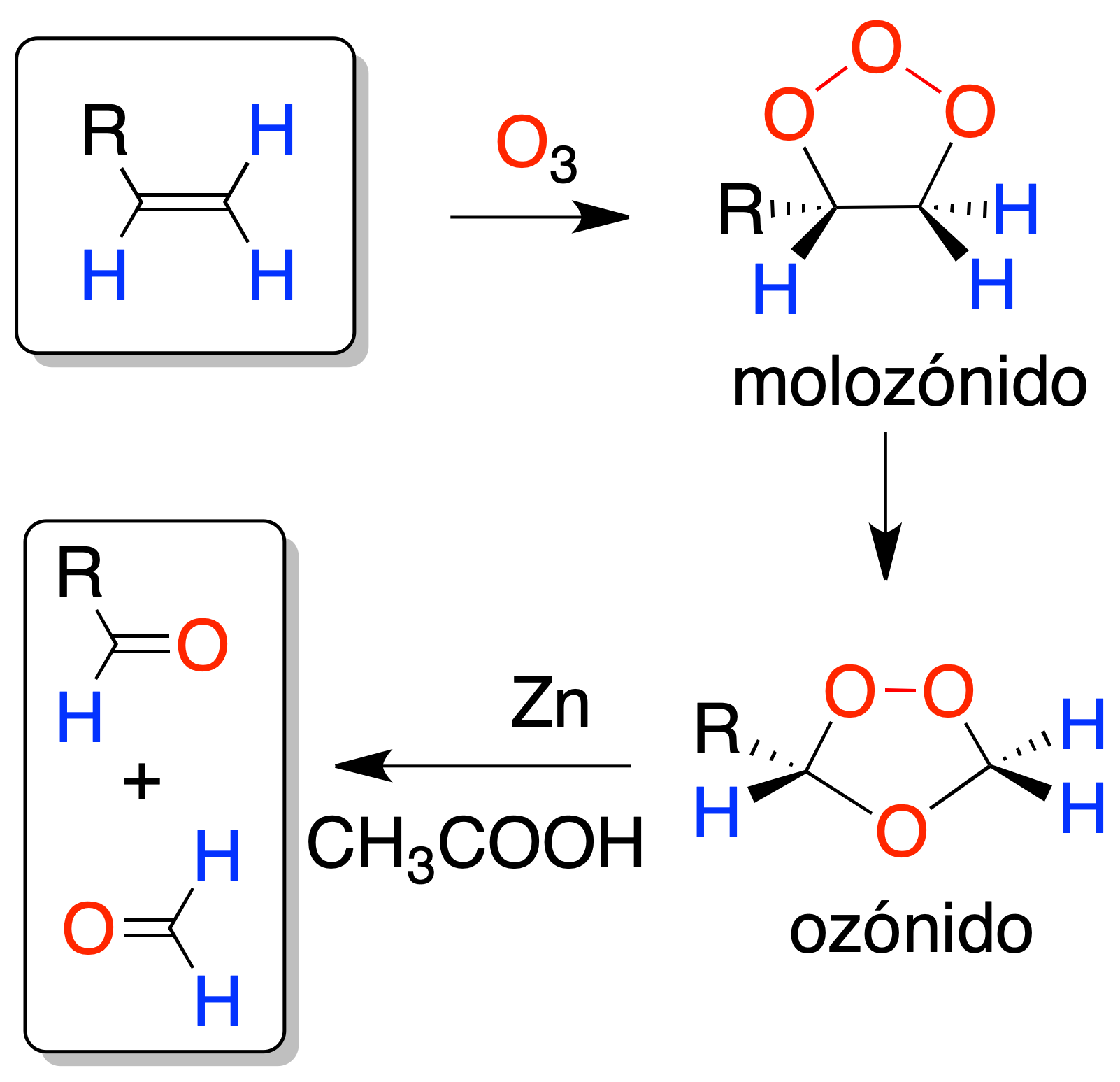 reactivity of alkenes: Oxidation of alkenes; Ozonolysis (molozonide ozone)