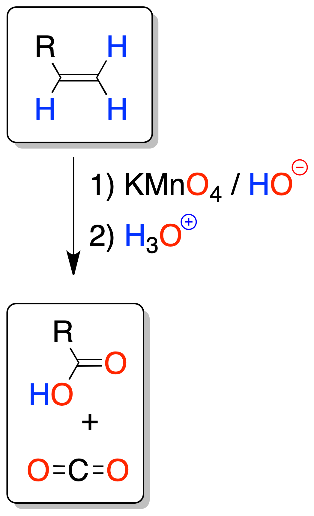 reactivity of alkenes: Oxidation of alkenes; Oxidative cleavage with permanganate