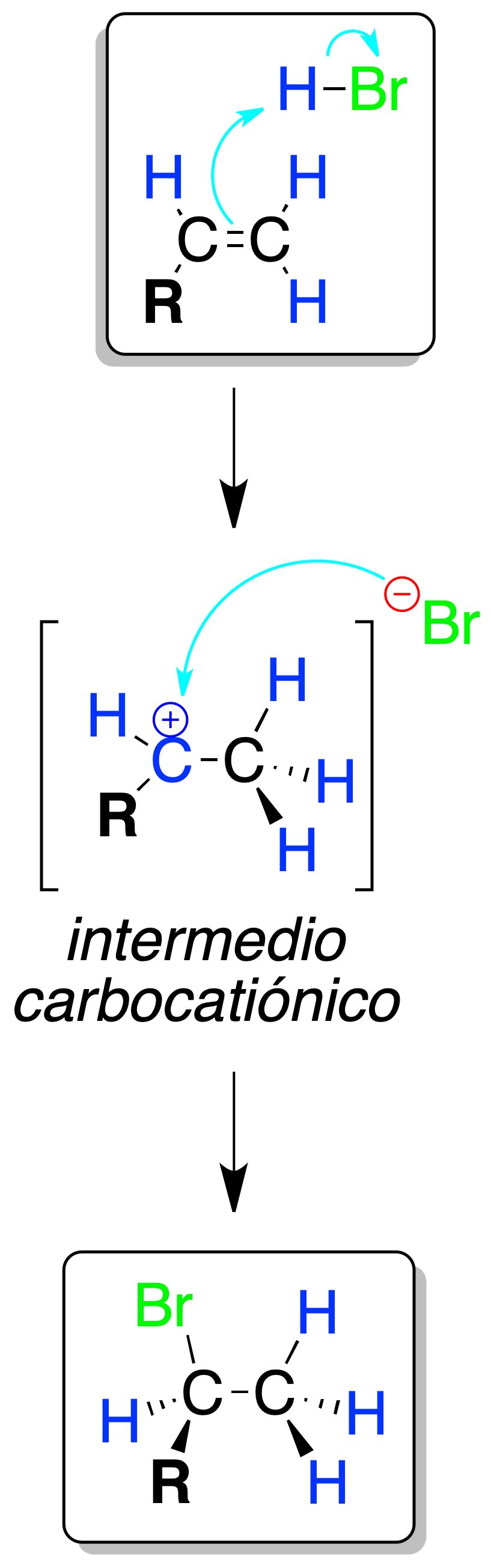 reactivity of alkenes: Electrophilic HX addition (in the absence of radical initiators)