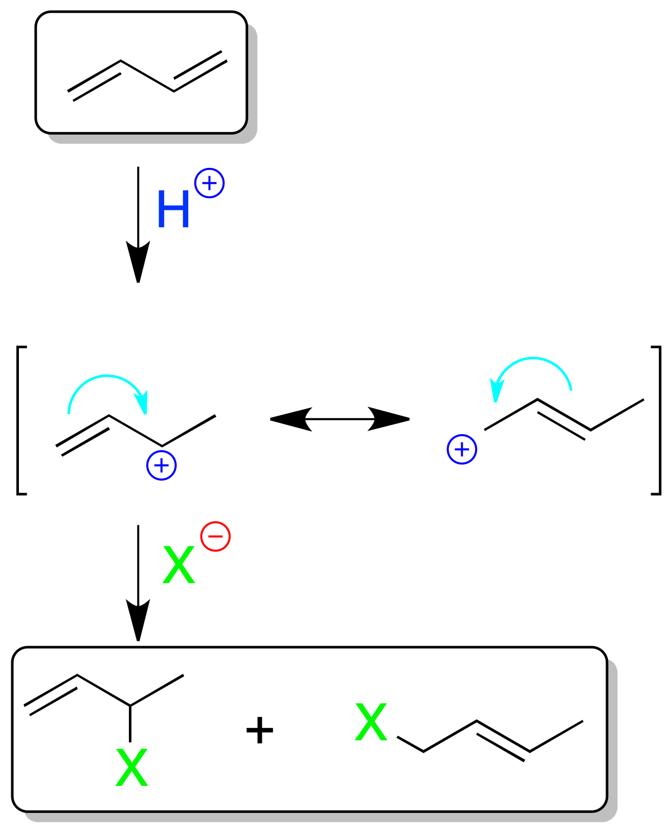 Diene and Conjugated Diene Reactions: functional group