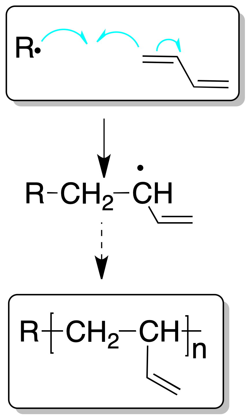 Diene and Conjugated Diene Reactions: Polymerization of dienes