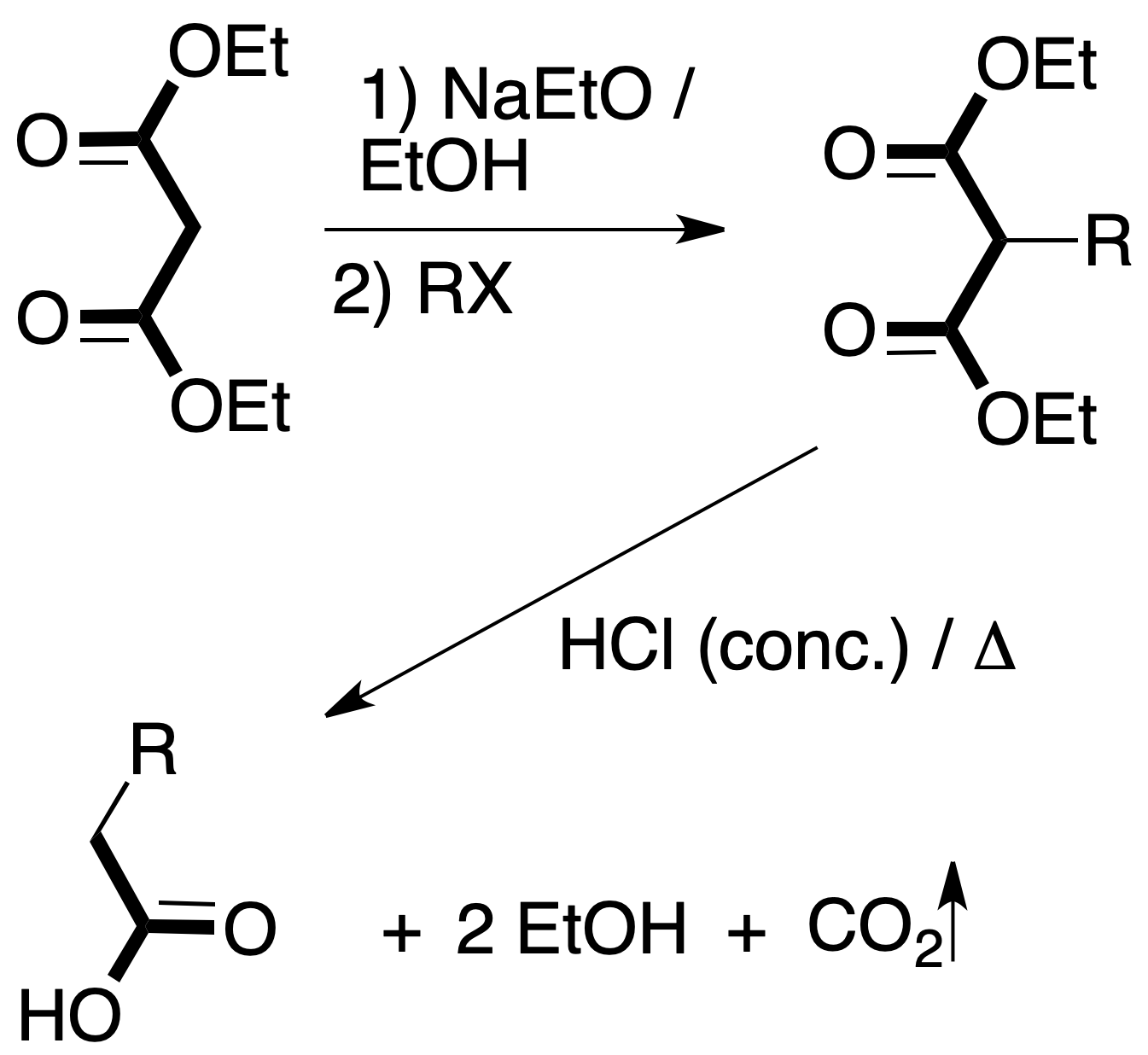 organic synthesis malonic systesis