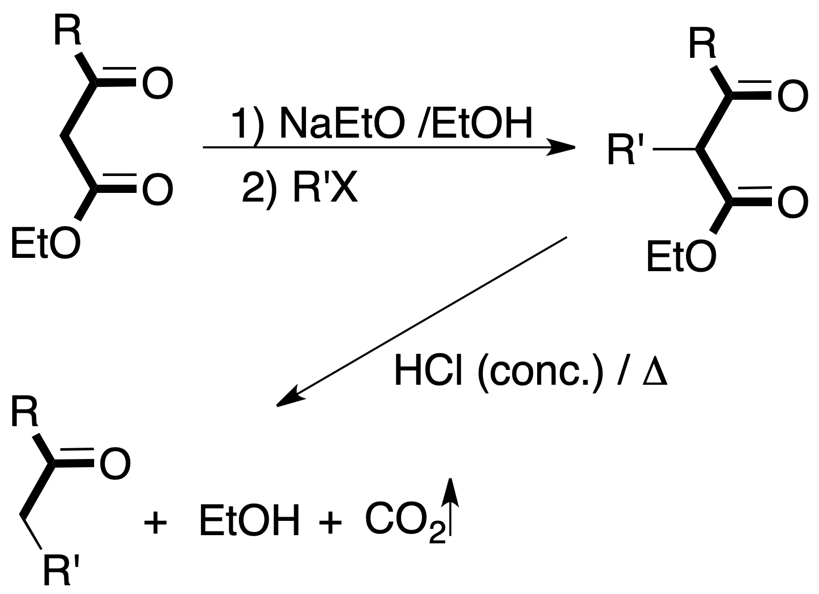 organic synthesis acetoacetic synthesis