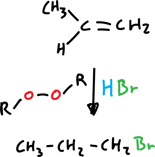 anti-Markovnikov orientation participationfree radicals