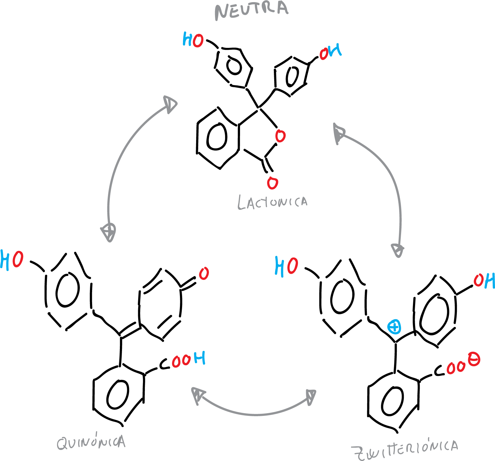 phenolphthalein neutral lactonic quinonic zwitterionic form KJFMBFZCATUALV-UHFFFAOYSA-N