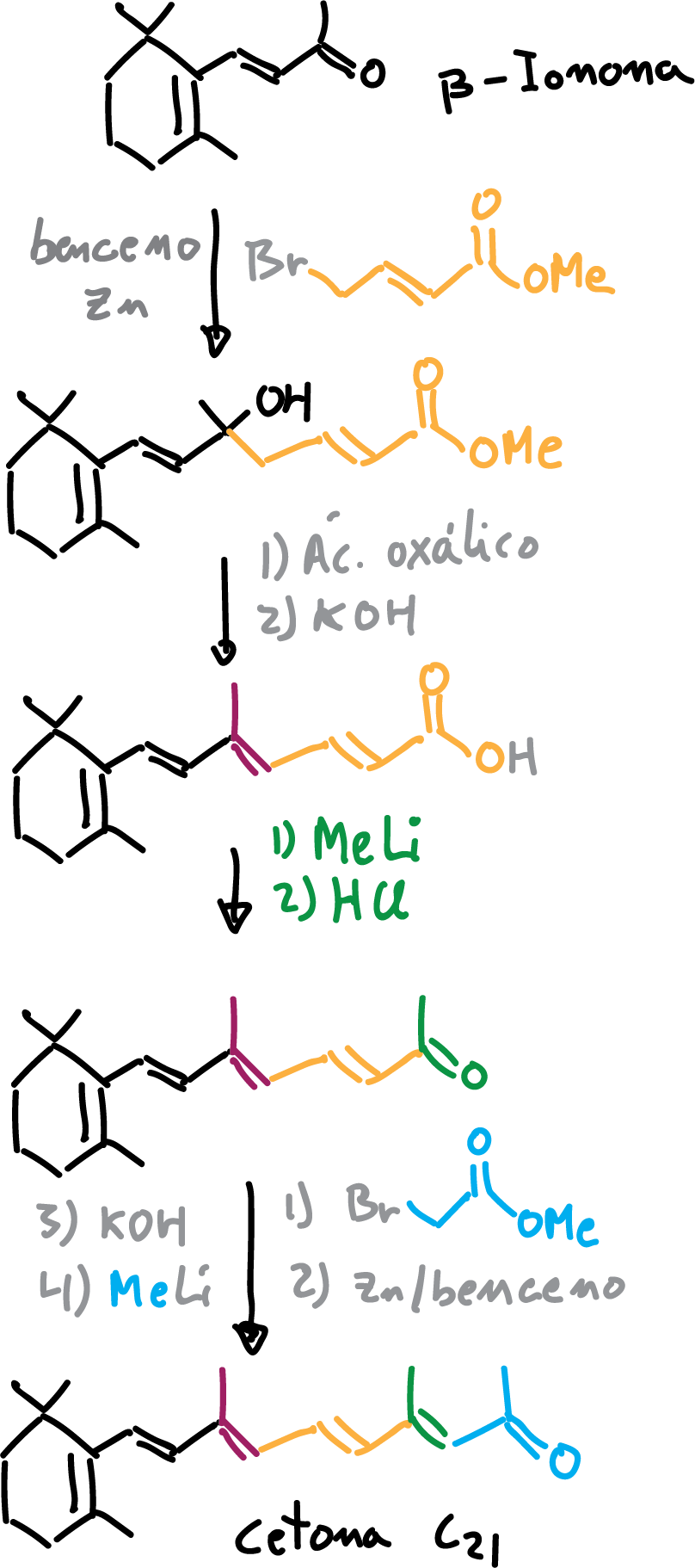 Arens-van Dorp synthesis of intermediate C21