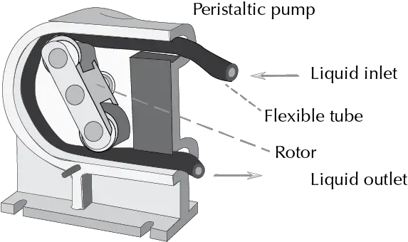 peristaltic pump