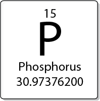 Phosphorus element periodic table
