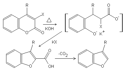 Perkin rearrangement - coumarin benzofuran ring contraction