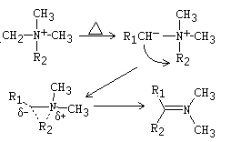 Stevens rearrangement
