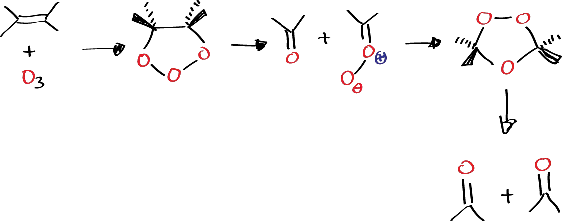 Applications of pericyclic reactions - Formation of five-membered rings (reaction of alkene with ozone) - general reaction scheme