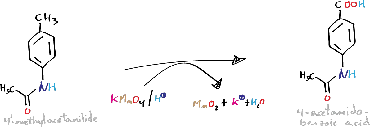 benzocaine synthesis (step 2): synthesis of p-acetamidobenzoic acid - general reaction scheme