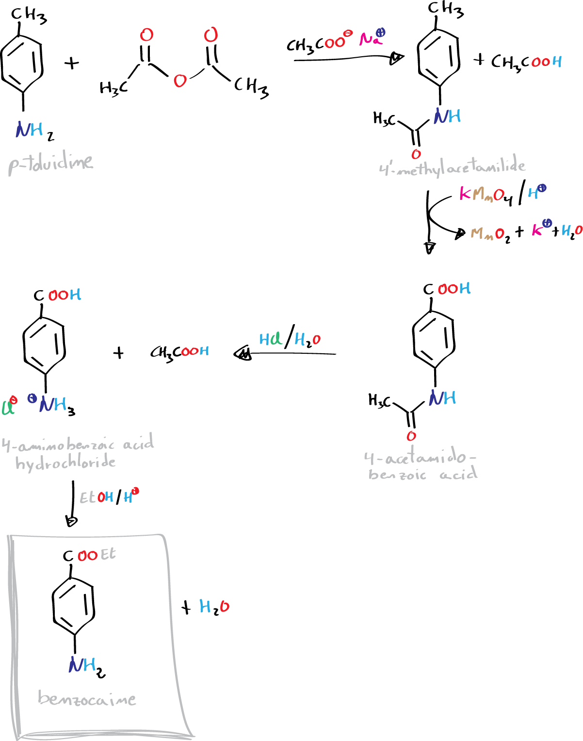 benzocaine synthesis: multistep preparation of an anesthetic - general reaction scheme