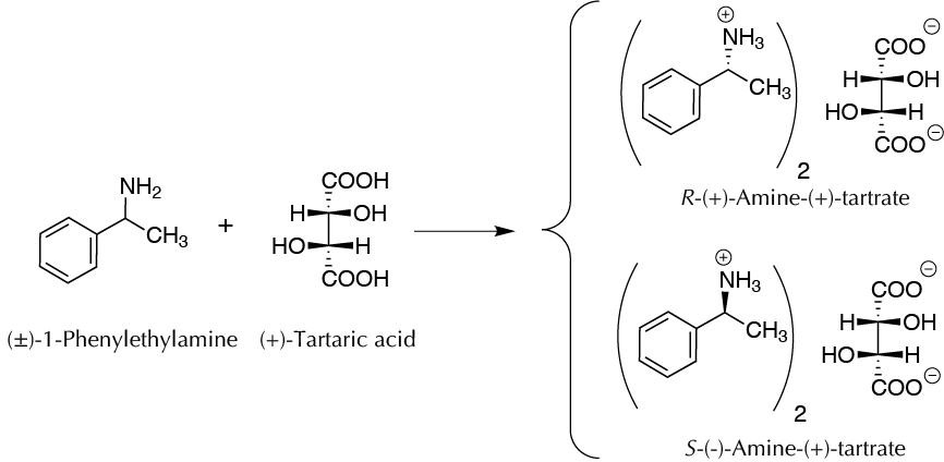 Chiral resolution of (±)-α-methylbenzylamine 1-1-phenylethylamine laboratory experiment