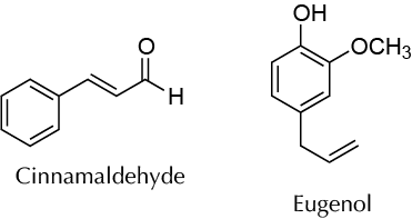 Obtaining cloves and cinnamon oils (rotovap): cynamaldehyde eugenol