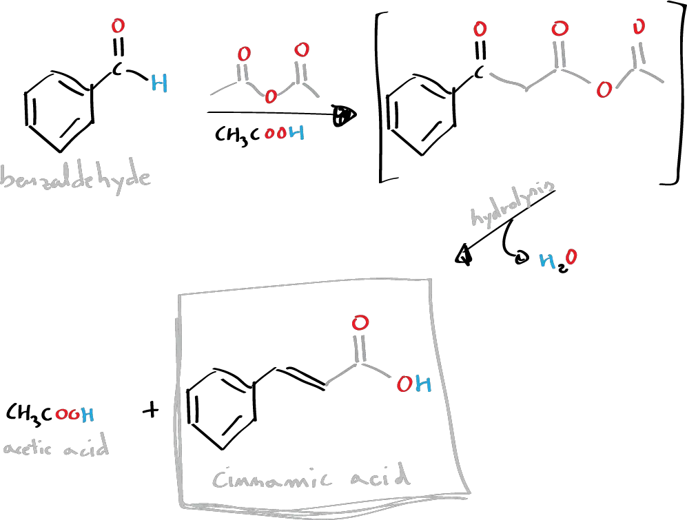 synthesis of cinnamic acid by Perkin condensation - general reaction scheme - benzaldehyde