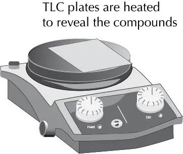 TLC plates are heated to reveal the compounds