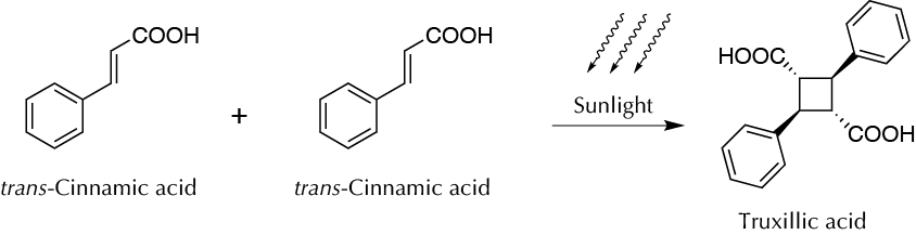 photochemical [2+2] cycloaddition of cinnamic acid to yield truxillic acid