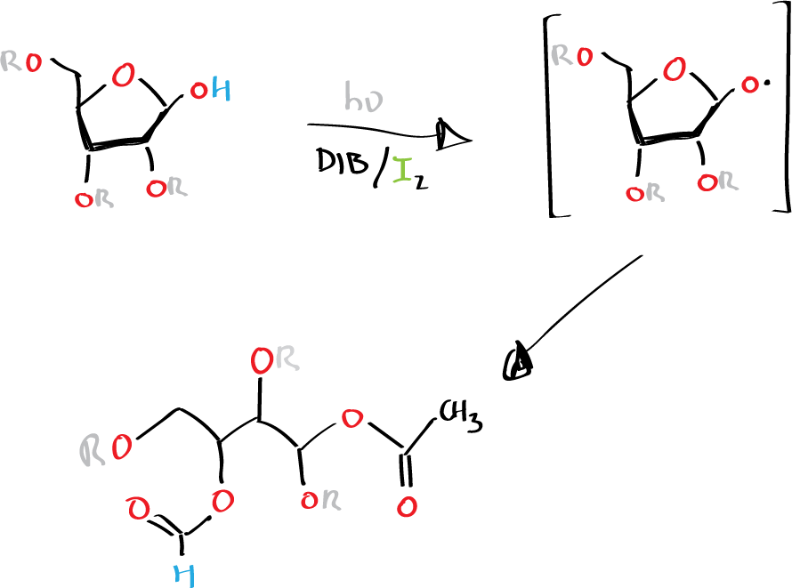 Suárez reaction - general reaction scheme - Suárez fragmentation Suárez cleveage