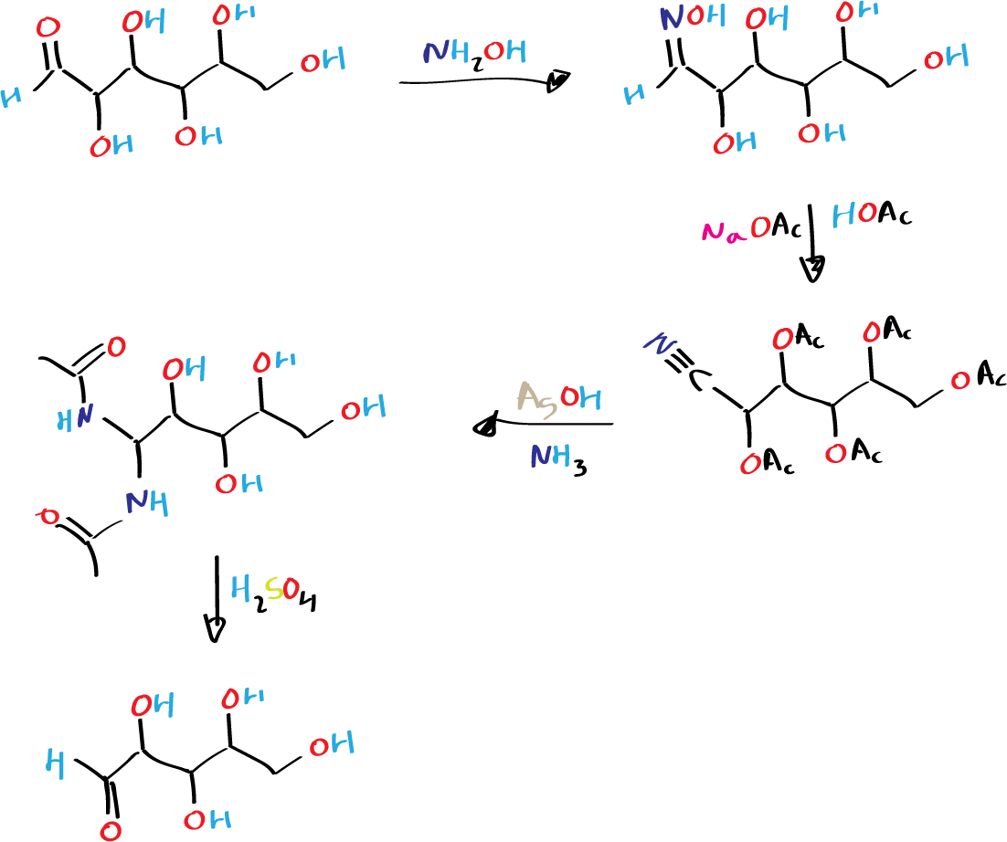Wohl degradation - general reaction scheme - Zemplén modification uses sodium alkoxide