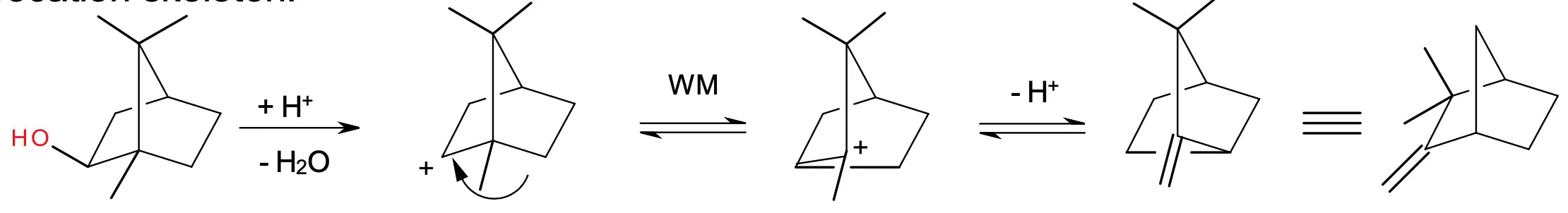 Wagner-Meerwei rearrangement of borneol into camphene - general reaction scheme
