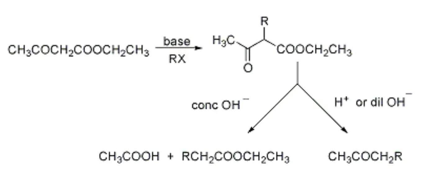 acetoacetic ester synthesis - Simonsen