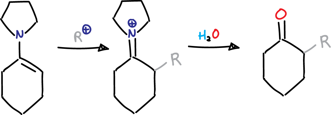 Stork enamine alkylation reaction