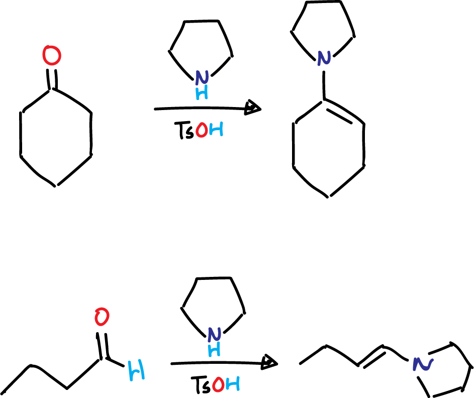 formation of enamine from ketone and aldehyde - Stork enamine alkylation and acylation reactions