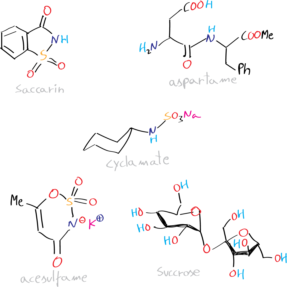 sweeteners natural and artificial sucrose cyclamate (Na salt) saccharin aspartame acesulfame