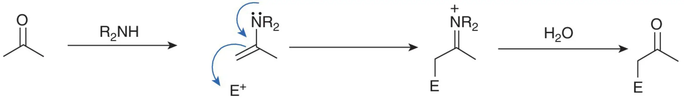 formation of enamine - iminium ion - reverted to a carbonyl compound upon hydrolysis