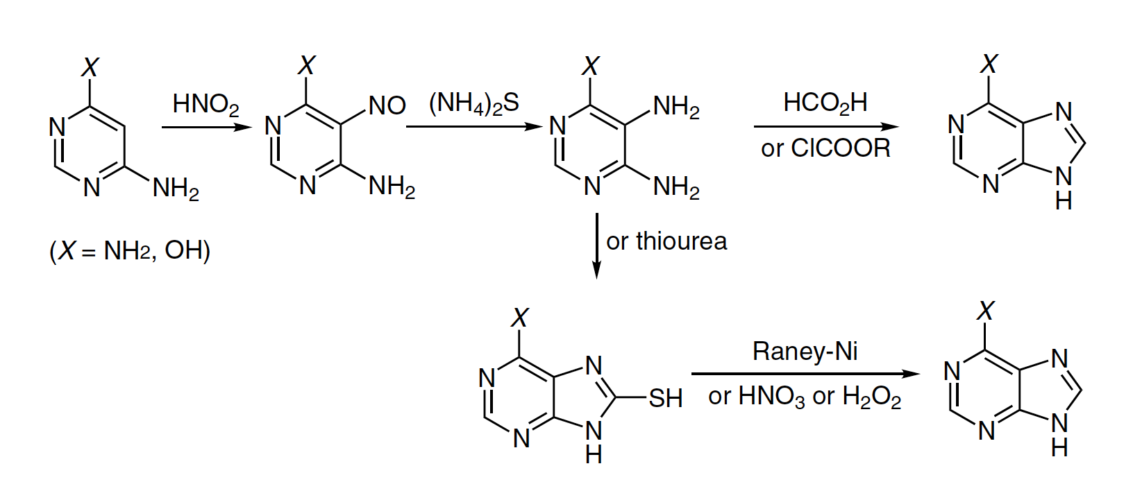 Traube purine synthesis - general reaction scheme - Traube reaction