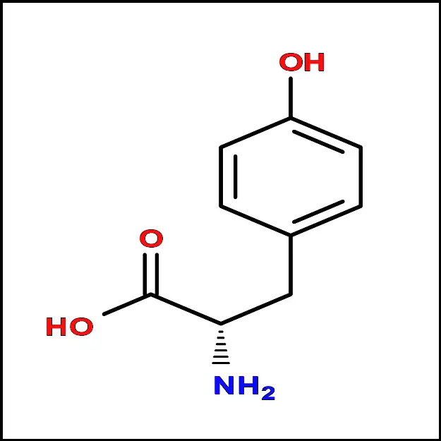 tyrosine Tyr